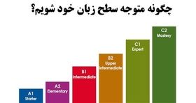 چگونه متوجه سطح زبان خود شویم؟

