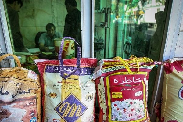 قیمت جدید برنج ایرانی در بازار + جدول