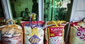 قیمت برنج خارجی از برنج ایرانی بالاتر رفت / پیامد ممنوعیت واردات برنج خارجی