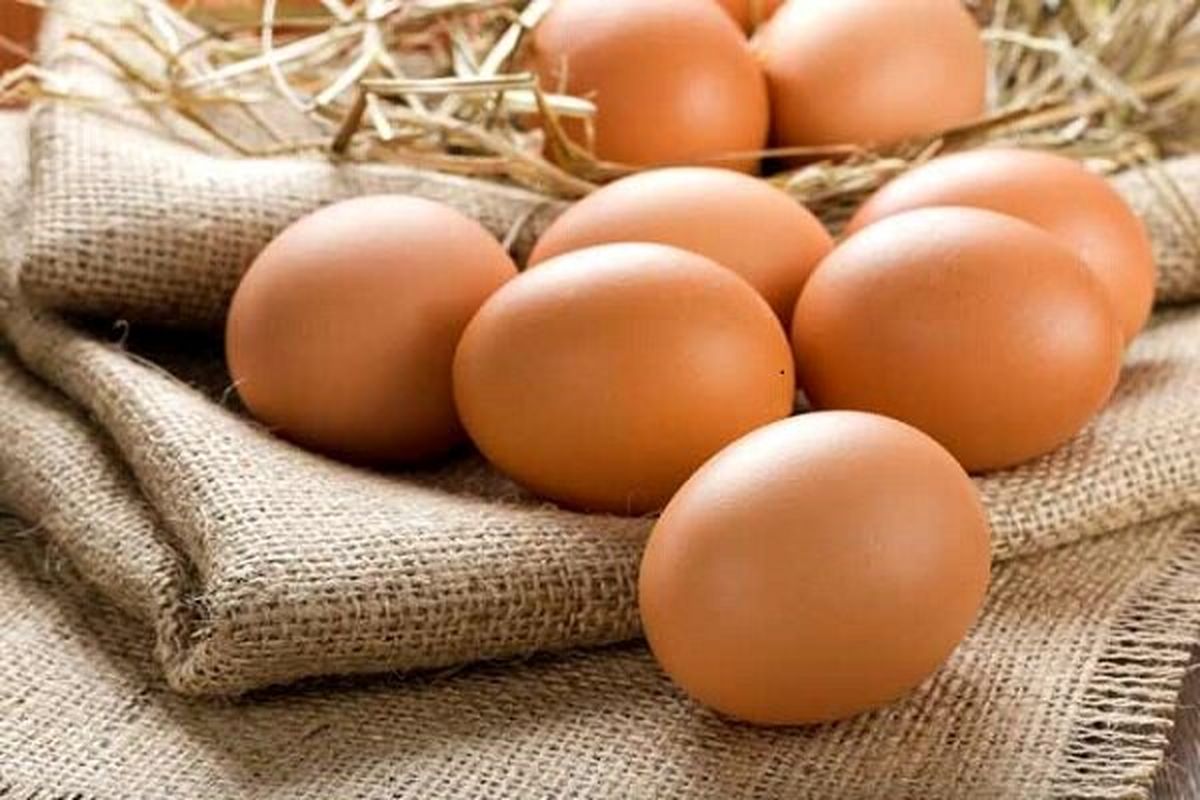 قیمت تخم مرغ تغییر کرد / خرید ۲۰ عدد تخم مرغ چقدر پول می خواهد؟