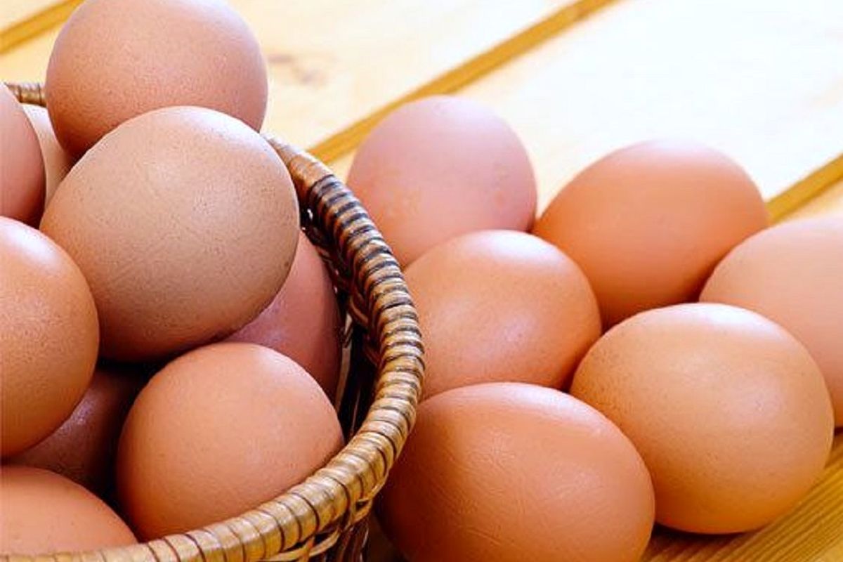 جدیدترین قیمت تخم مرغ در بازار امروز / تخم مرغ شانه ای چند؟