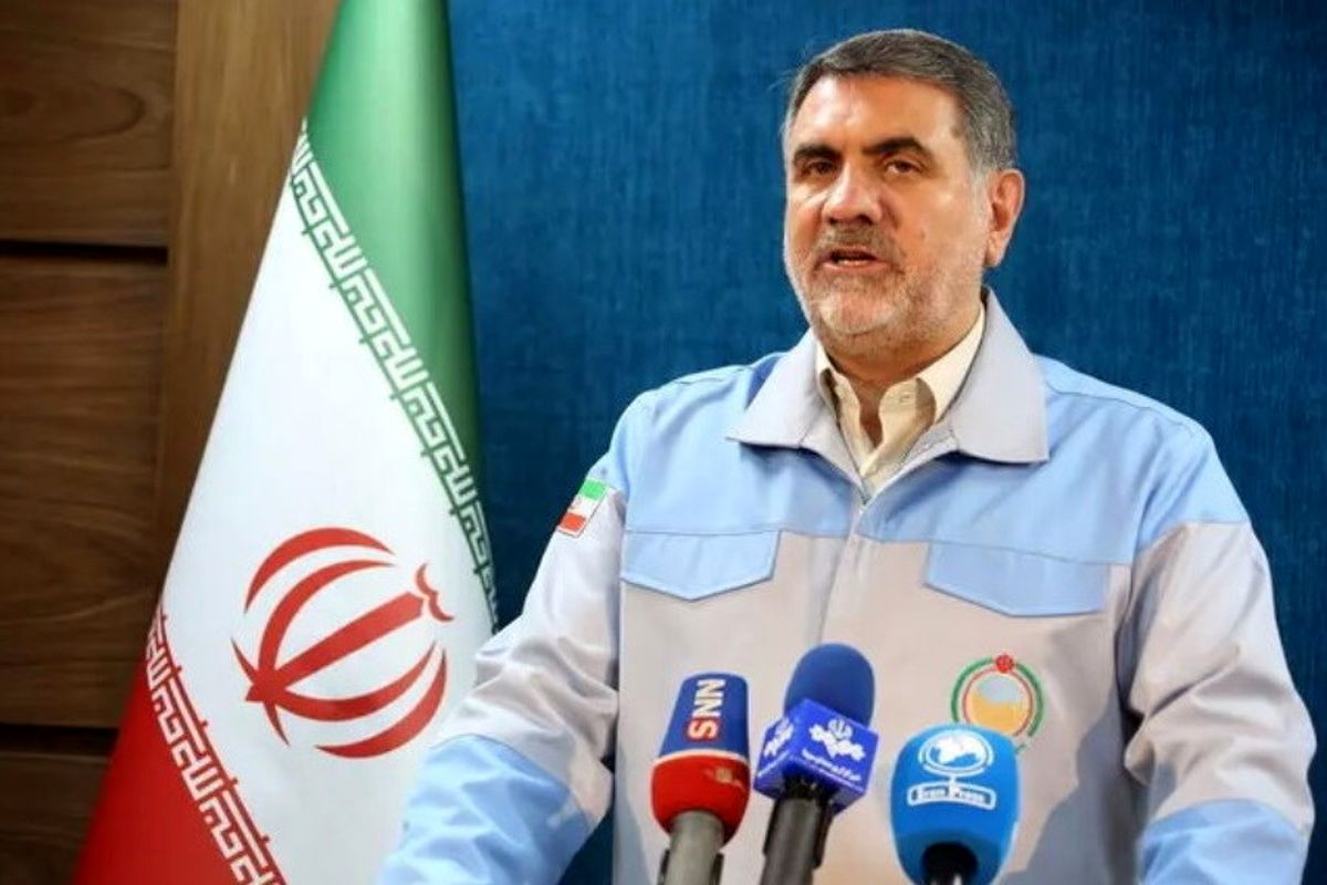 ساجدی‌نیا: آینده امدادرسانی در کشور روشن است
