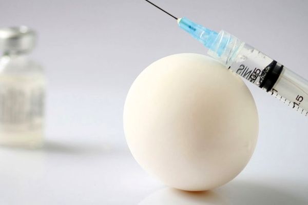 افزایش ایمنی واکسن آنفلوآنزا تا ۷۰ درصد / تزریق واکسن خاص برای افراد حساس به تخم مرغ