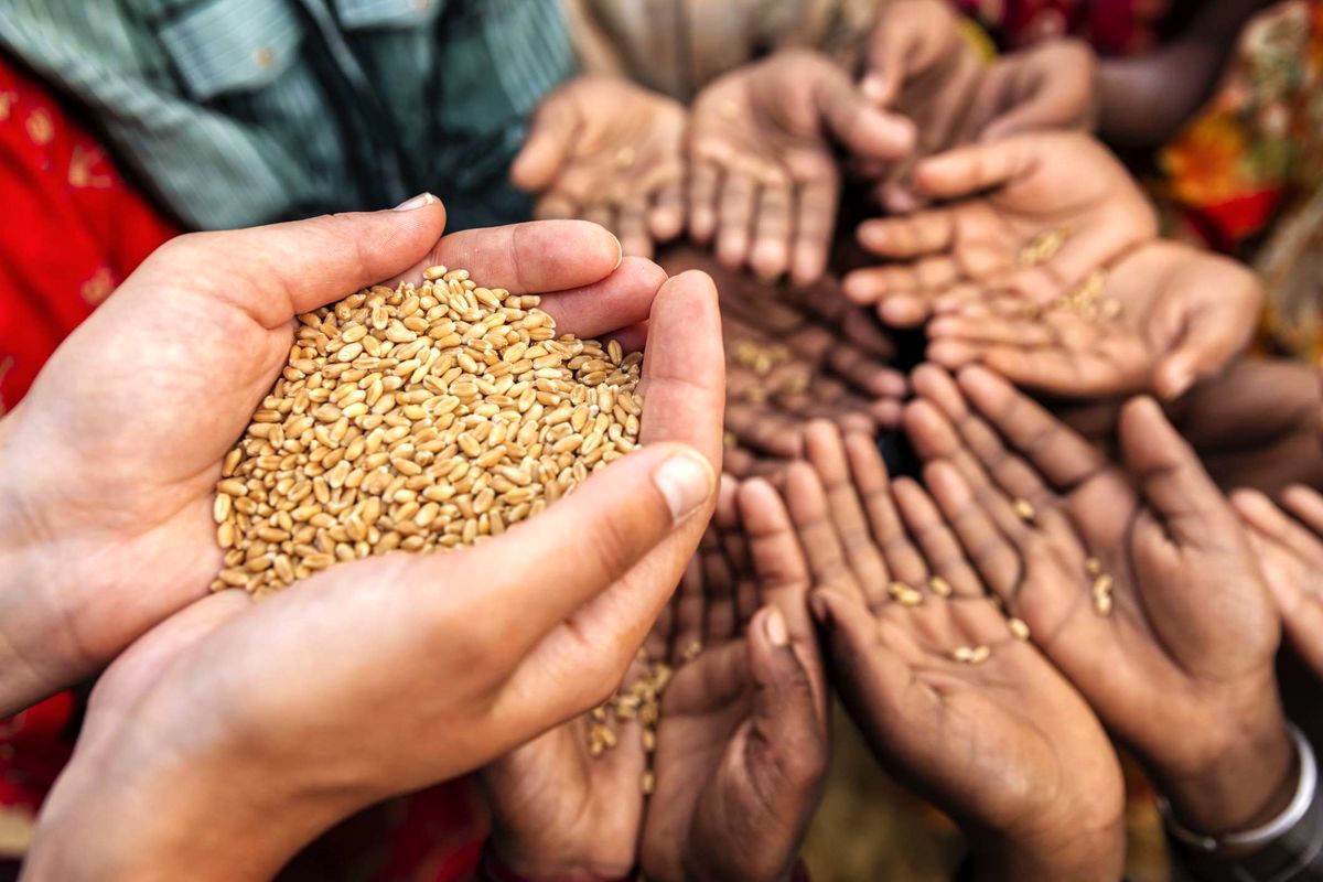 خطر تورم قیمت مواد غذایی در جهان