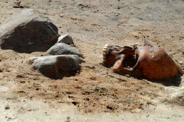 این زن خون آشام در قبرستان پیدا شد / او را با داسی بر گردن دفن کردند + تصاویر 