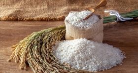 هشدار وزیر جهاد کشاورزی به مردم/ برنج را گران‌تر از این قیمت نخرید