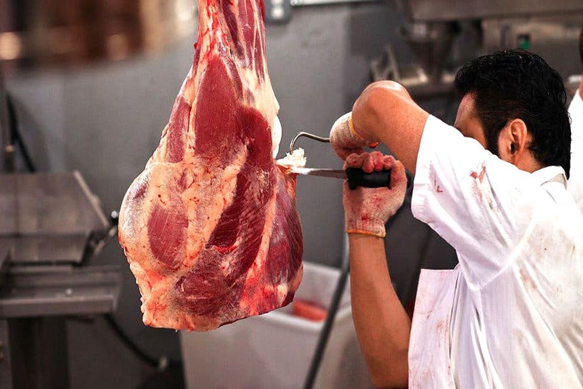 آغاز عرضه گوشت گرم از امروز / قیمت گوشت گوسفندی اعلام شد