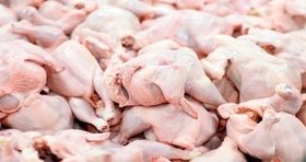 گوشت مرغ با قیمت مصوب ۱۴۰۴ وارد بازار شد (۱۰ خرداد)