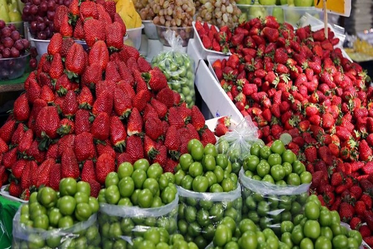 ارزانی میوه در راه است / هر کیلو توت فرنگی در بازار چند؟