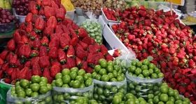 ارزانی میوه در راه است / هر کیلو توت فرنگی در بازار چند؟