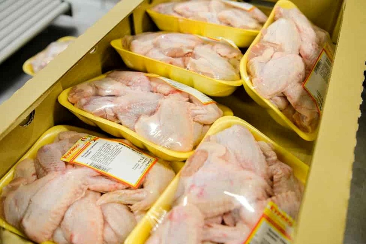 قیمت سینه مرغ به ۲۷۰ هزار تومان رسید / لیست قیمت انواع مرغ بسته بندی 