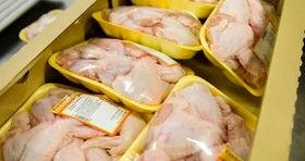 قیمت مرغ بسته بندی تغییر کرد / لیست قیمت انواع گوشت مرغ در بازار