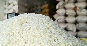 برنج خارجی با قیمت جدید به بازار رسید (۱۵ شهریور)