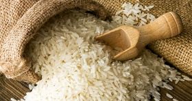 تا دو دهه دیگر برنج شمالی نابود می‌شود