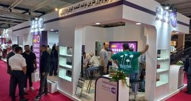 نظم مثال‌ زدنی نمایشگاه قطعات خودرو ۱۴۰۴