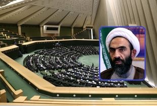 نهادهای قضایی حادثه فوت حمیدرضا درجاتی را پیگیری کنند/ لازم باشد مجلس ورود می کند