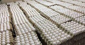 لطفا دولت تخم مرغ را گران کند!