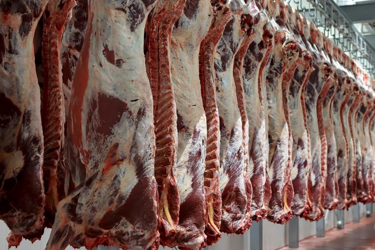 ورود گسترده گوشت قرمز به بازار ایران (۱۸ خرداد)