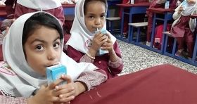 توزیع دوباره شیر رایگان در مدارس 