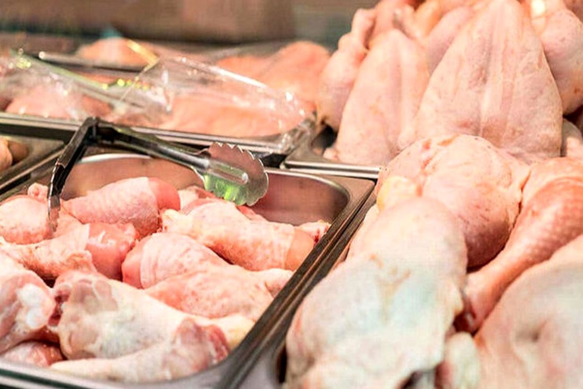 قیمت مرغ تغییر کرد / جدیدترین قیمت انواع گوشت مرغ بسته بندی (۱۱ بهمن)