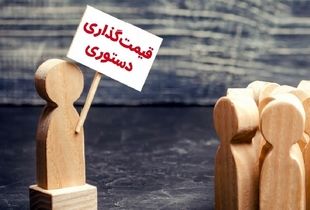 اعتراف تلخ نماینده مجلس / دولت در کنترل بازار ارز شکست خورد