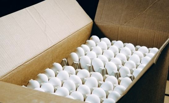 تخم‌ مرغ ایرانی دوباره راهی بازارهای جهانی شد