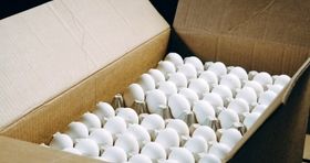 ممنوعیت صادرات تخم مرغ به عراق تکذیب شد
