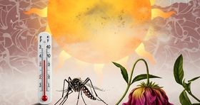 پادکست | خطرات و بیماری های پنهان گرما در ایران