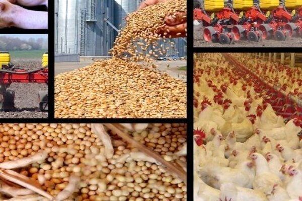 قیمت روز نهاده دامی و کشاورزی در بازار + جدول 