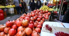 انار و هندوانه شب یلدا با قیمت مناسب توزیع می شود / چرا آمار خرید میوه کاهش یافت ؟