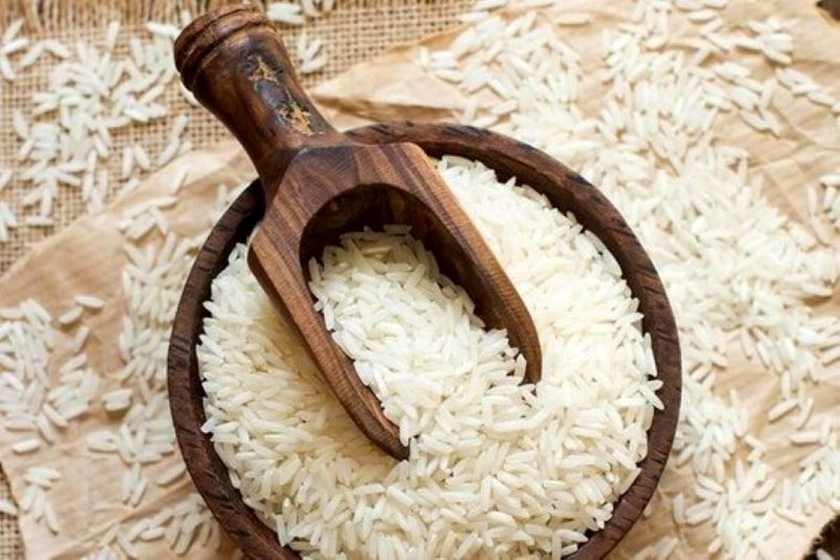 ریزش ۲۰ درصدی قیمت برنج ایرانی رسماً تایید شد (مرداد ۱۴۰۴)