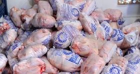 کمبودی در عرضه مرغ نیست / قیمت هر کیلو مرغ زنده چند؟