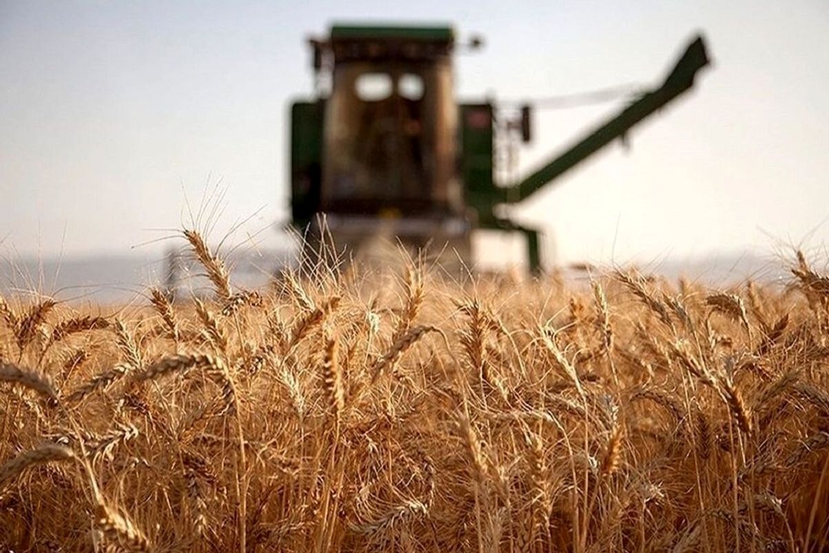 مطالبات این افراد به زودی و به طور کامل پرداخت میشود