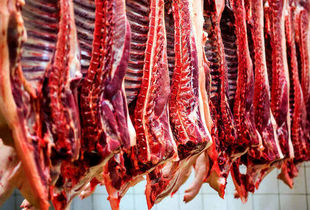 قیمت گوشت قرمز رسما کاهشی شد+جزئیات