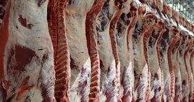 کاهش محسوس قیمت گوشت / واردات گوشت تا پایان سال ادامه دارد