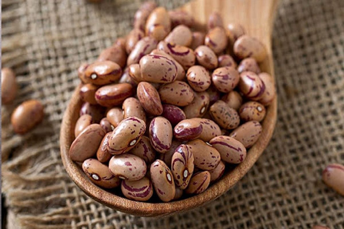 قیمت لوبیا چیتی در بازار نیم میلیونی شد (اردیبهشت ۱۴۰۴)