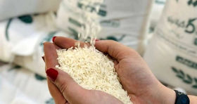 وضعیت بازار برنج تا پایان سال رسماً مشخص شد