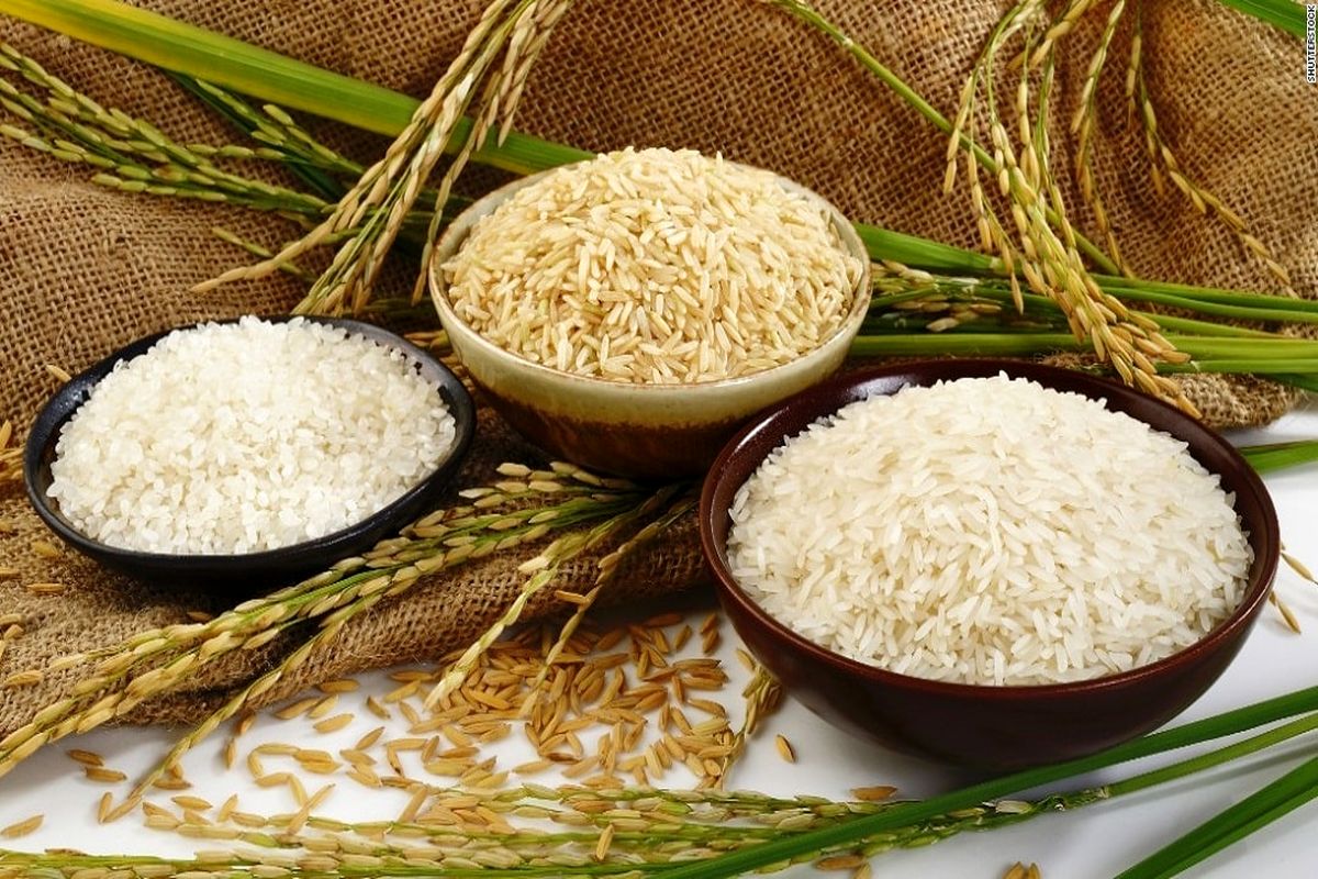 ثبات بر بازار برنج خارجی حاکم است