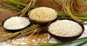 ثبات بر بازار برنج خارجی حاکم است