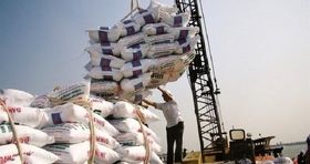 رکورد واردات برنج شکست