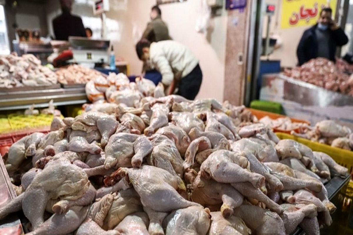  پیش بینی جدید از قیمت گوشت مرغ / همه چیز در بازار بر وفق مراد است