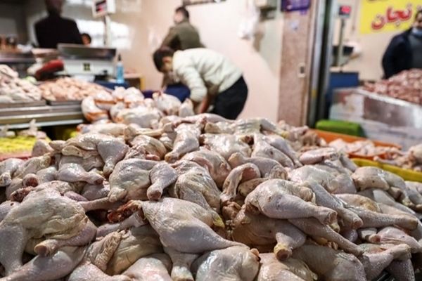  پیش بینی جدید از قیمت گوشت مرغ / همه چیز در بازار بر وفق مراد است