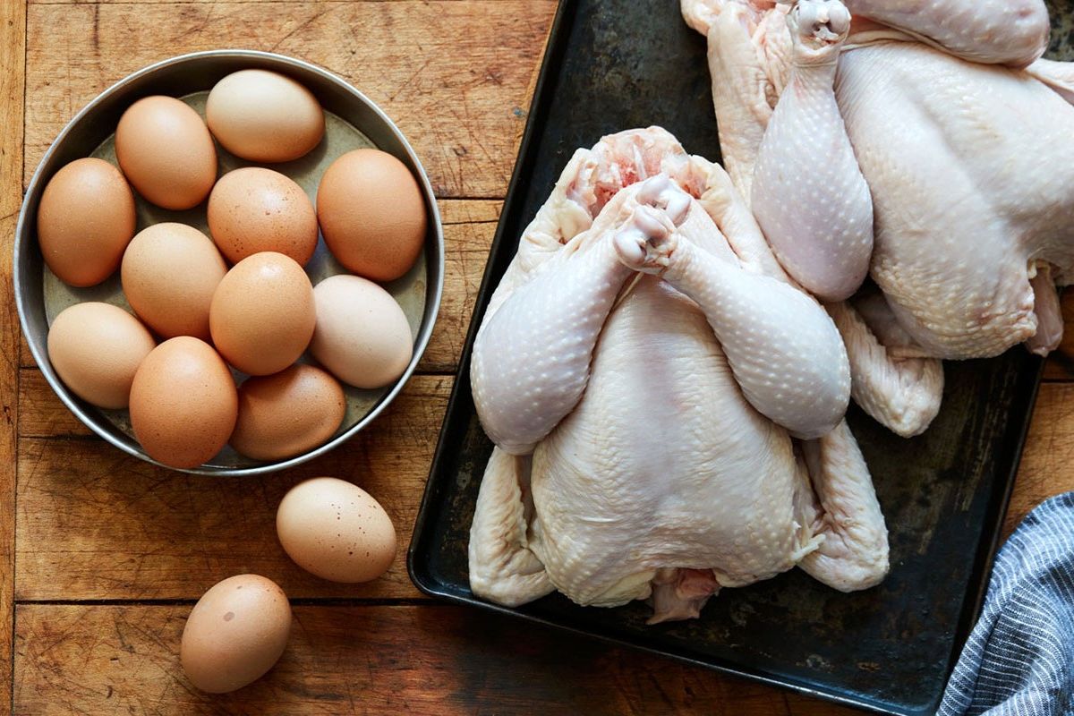 قیمت مرغ کشتار روز تغییر کرد / چه خبر از قیمت تخم مرغ؟