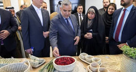 نمایشگاه توانمندی‌های تولیدی و صادراتی کشاورزی خوزستان افتتاح شد