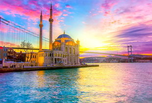 سفر رایگان به ترکیه با ارز دولتی / ماجرا چیست؟ 