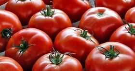 قیمت گوجه فرنگی کاهش یافت / بازگشت آرامش به بازار