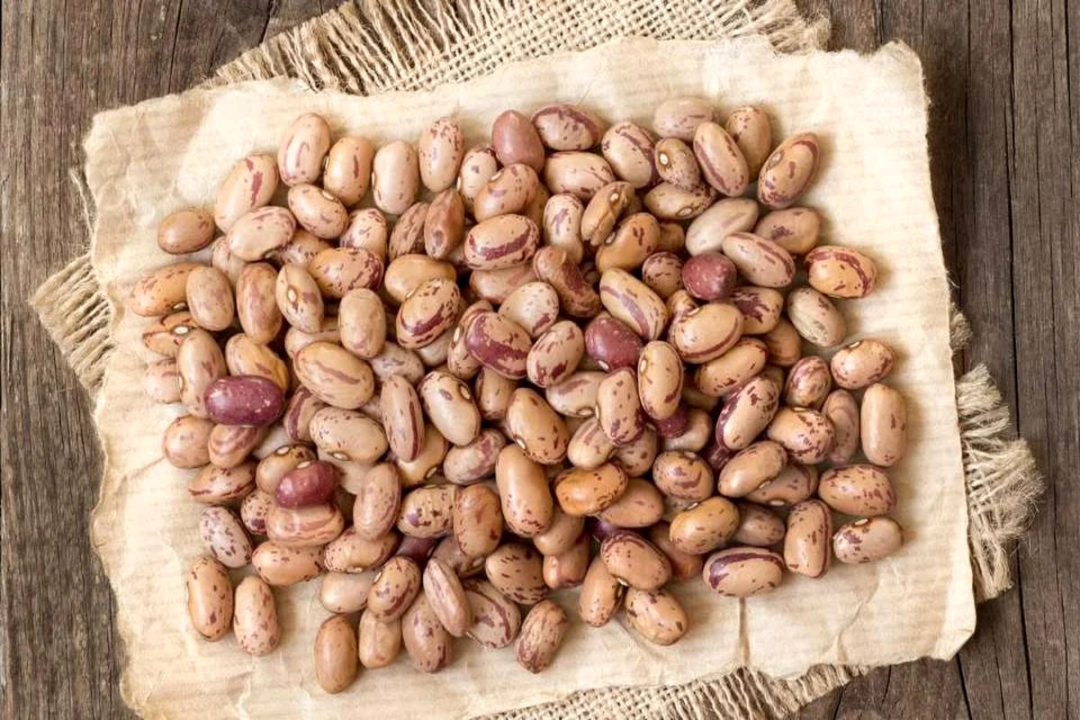 ترمز قیمت لوبیا چیتی بالاخره کشیده شد 