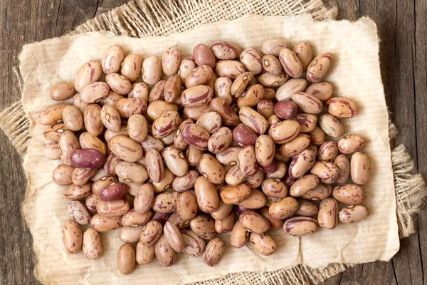 قیمت لوبیا چیتی رکورد عجیبی ثبت کرد (شهریور ۱۴۰۴)