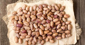 قیمت لوبیا چیتی رسماً سقوط کرد (۲۹ شهریور)