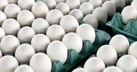 قیمت هرکیلو تخم‌مرغ 56 هزارتومان است نه بیشتر!